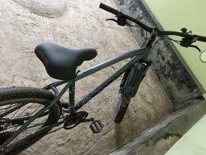 Mustang Cycle All Ok