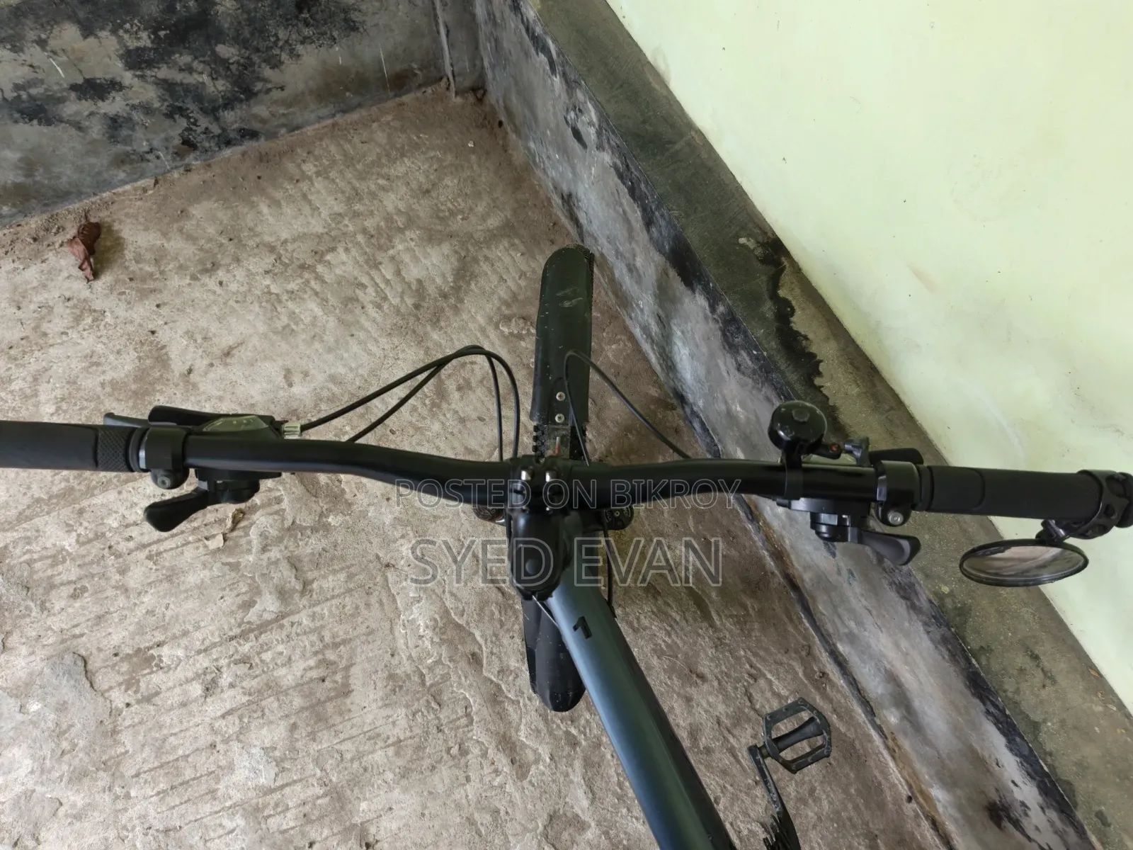 Mustang Cycle All Ok