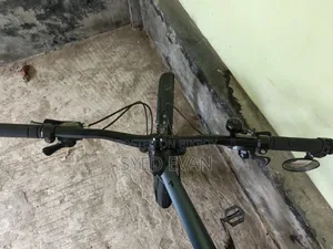 Mustang Cycle All Ok