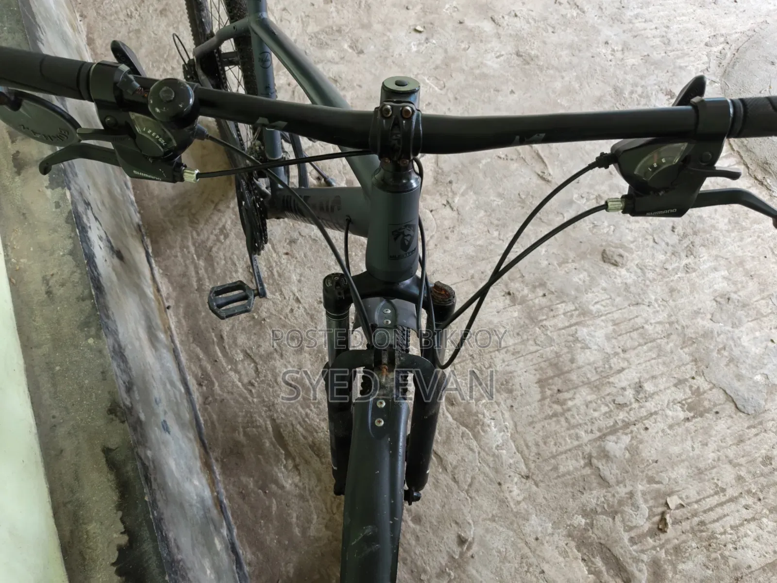 Mustang Cycle All Ok