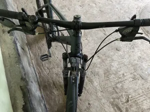 Mustang Cycle All Ok