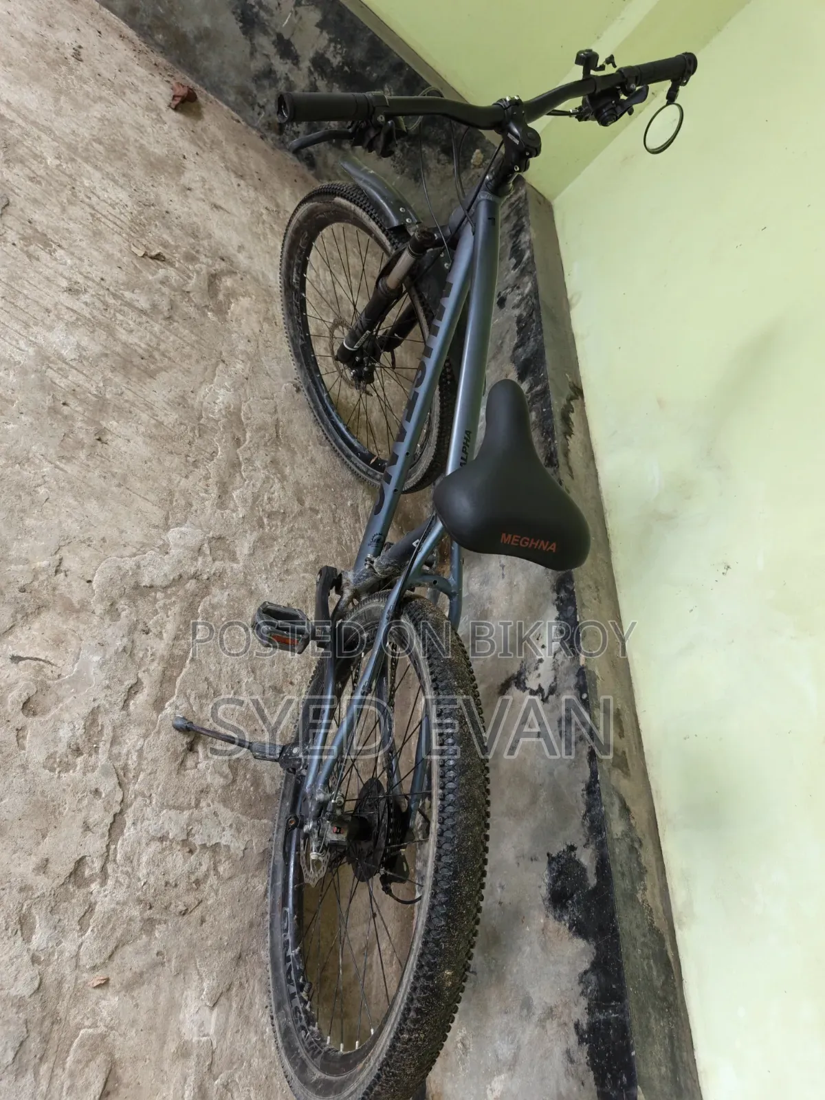Mustang Cycle All Ok