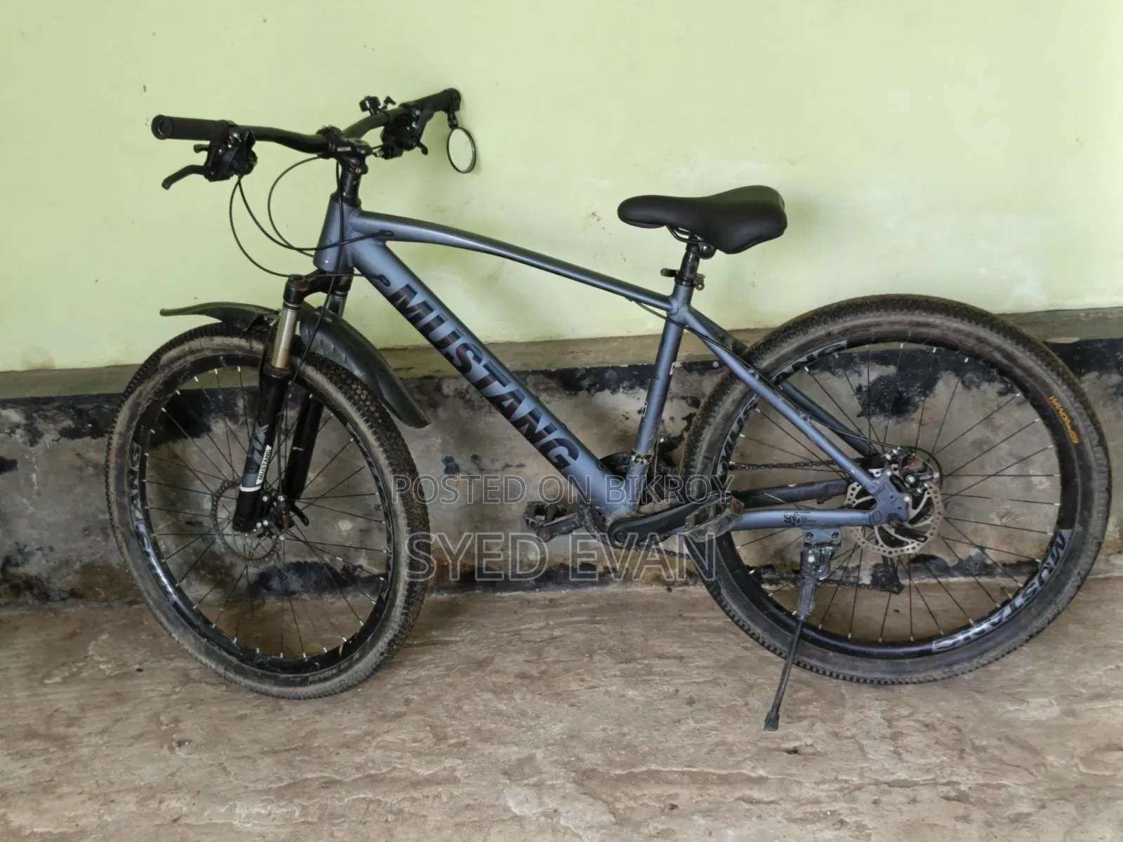 Mustang Cycle All Ok