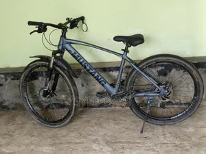 Mustang Cycle All Ok