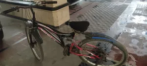 Bicycle With Gear
