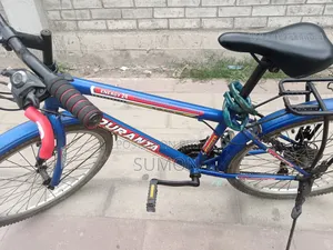 Running Cycle