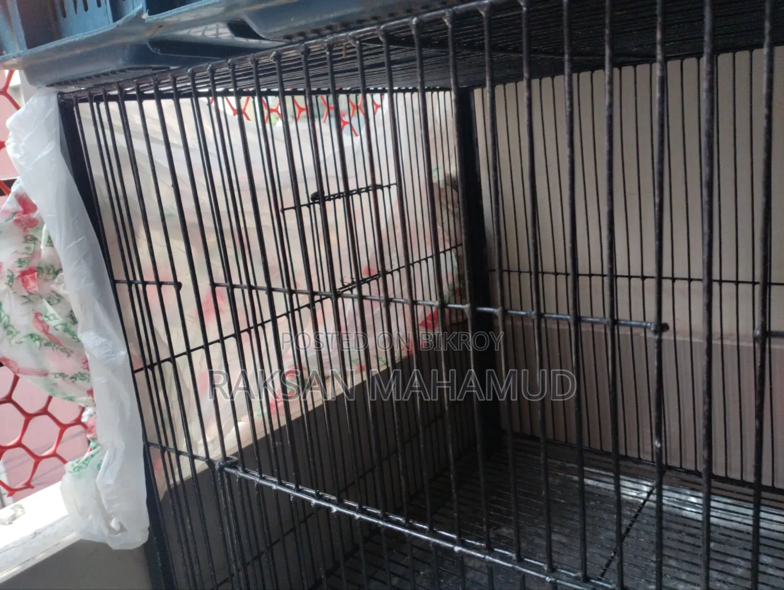 Bird Cage