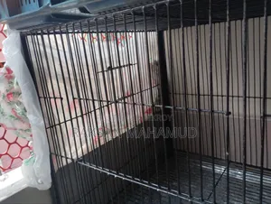 Bird Cage