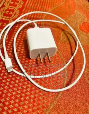Original 20W Adapter