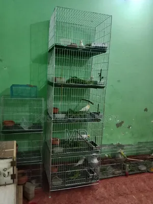 Alhamdulillah Alhamdulillah Good Cage