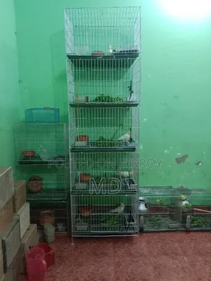 Alhamdulillah Alhamdulillah Good Cage