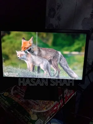 Monitor 19" Dell