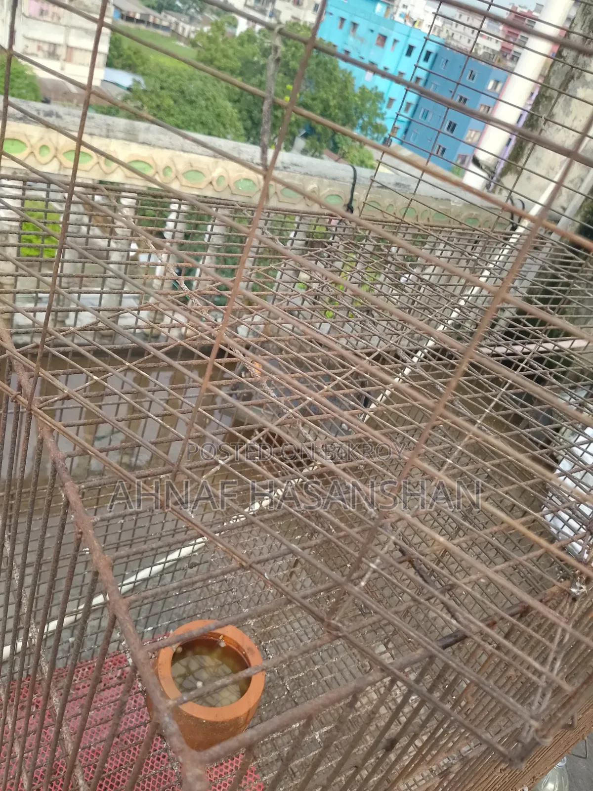 Cage for sale.
