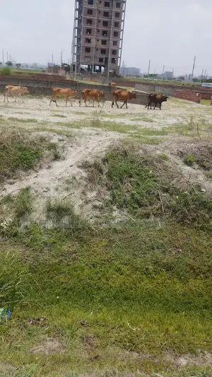 Land Sale at Bashundhara R/A