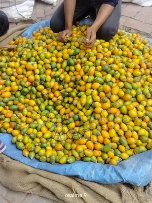 সুপারি পাইকারি এবং খুচরা বিক্রয় করা হয়
