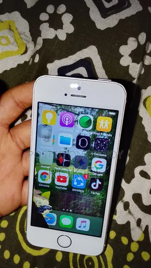 Apple iPhone 5s 16 GB White