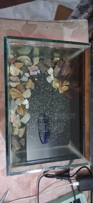 অ্যাকোয়ারিয়াম বিক্রয়ের জন্য