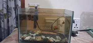 Aquarium Full Setup For Sale