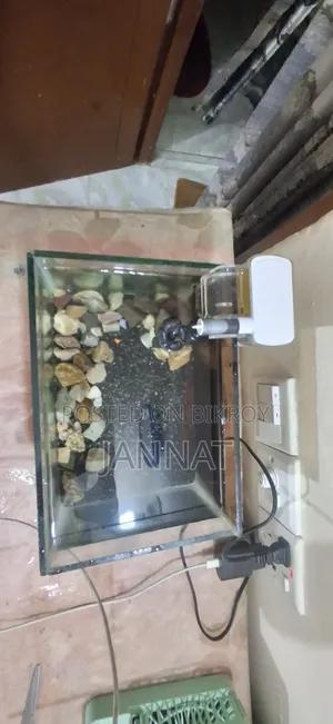 Aquarium Full Setup For Sale