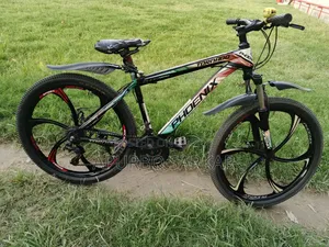 Brand: Phoenix Bicycle