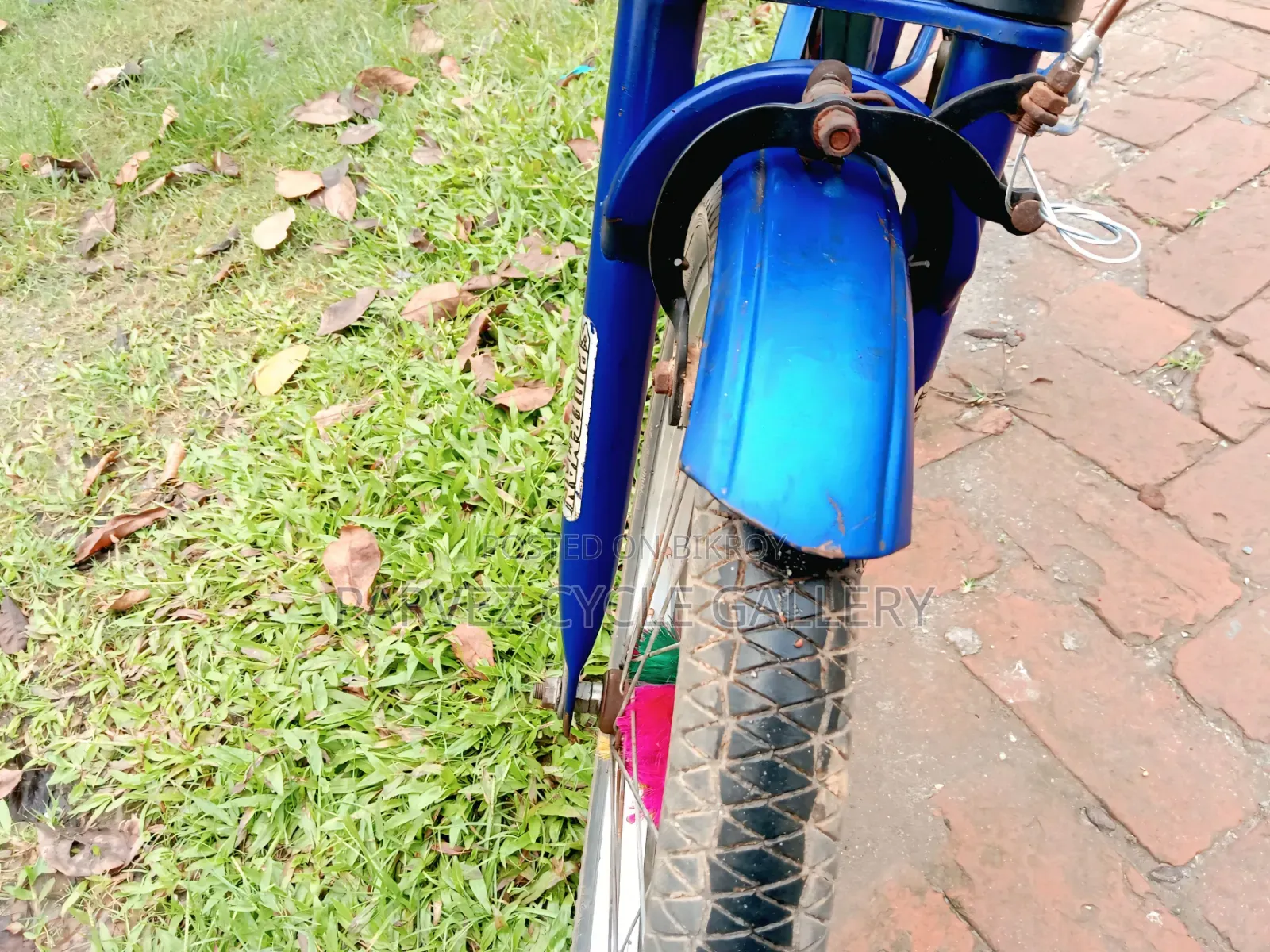 20" Kids Bicycle | Fully Serviced