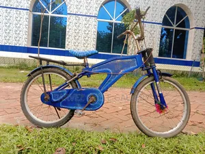 20" Kids Bicycle | Fully Serviced