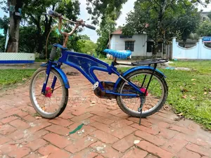 20" Kids Bicycle | Fully Serviced