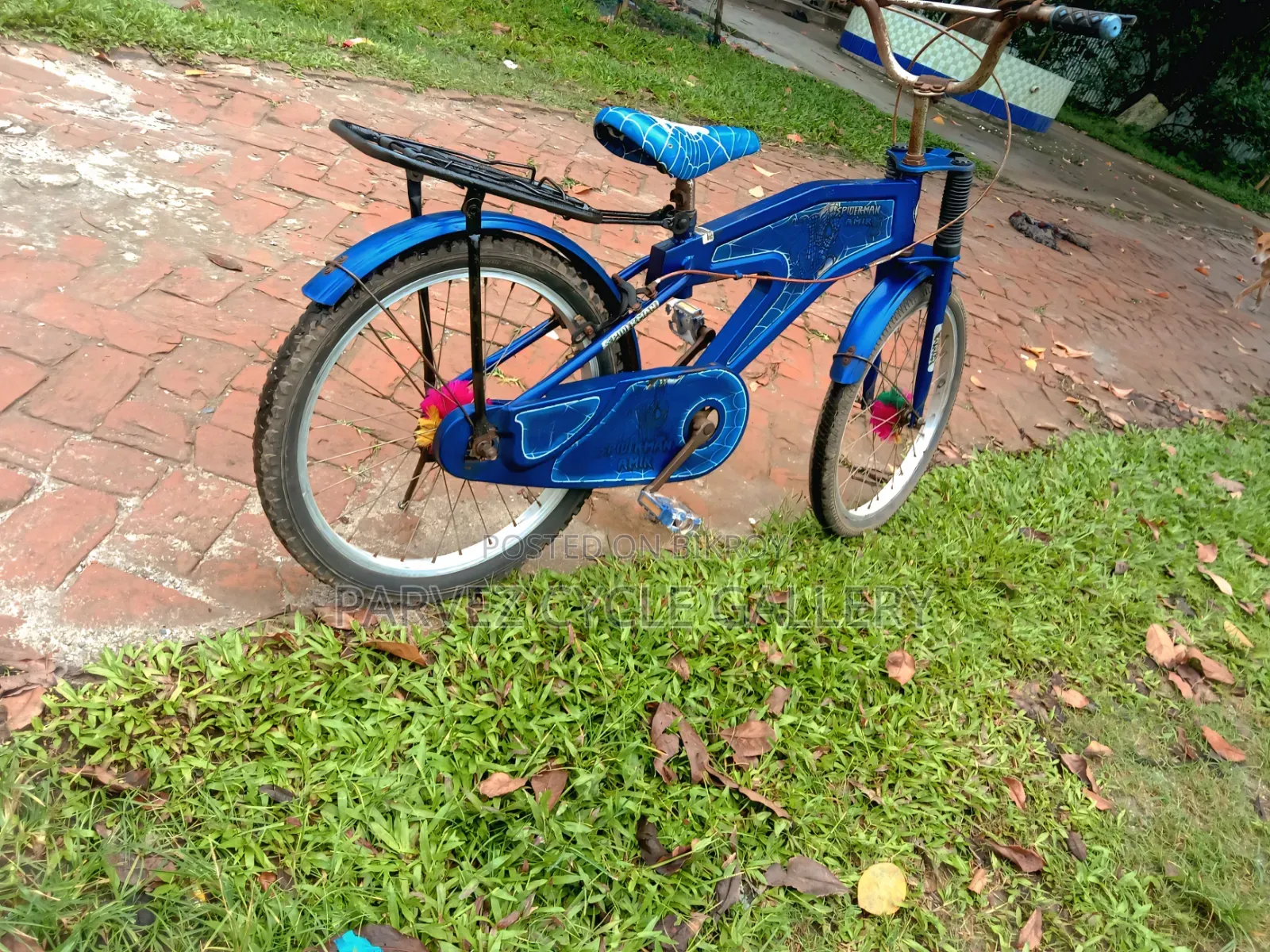 20" Kids Bicycle | Fully Serviced