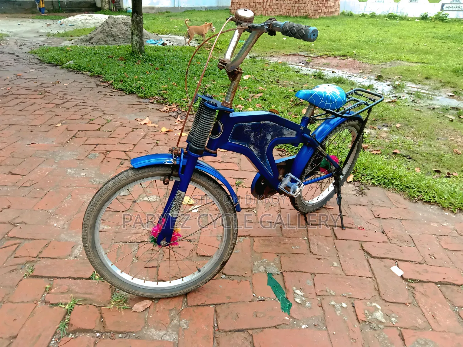 20" Kids Bicycle | Fully Serviced