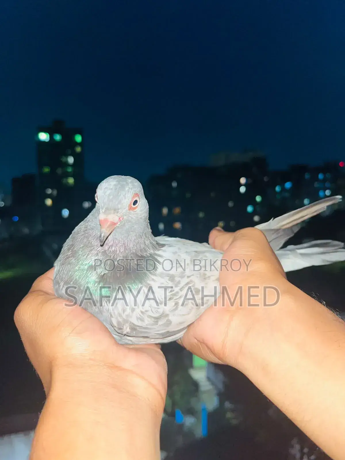 - কাজকরা নর বিক্রি হাত বদল করা হবে