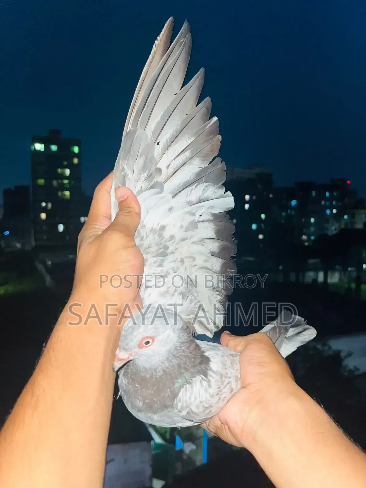 - কাজকরা নর বিক্রি হাত বদল করা হবে