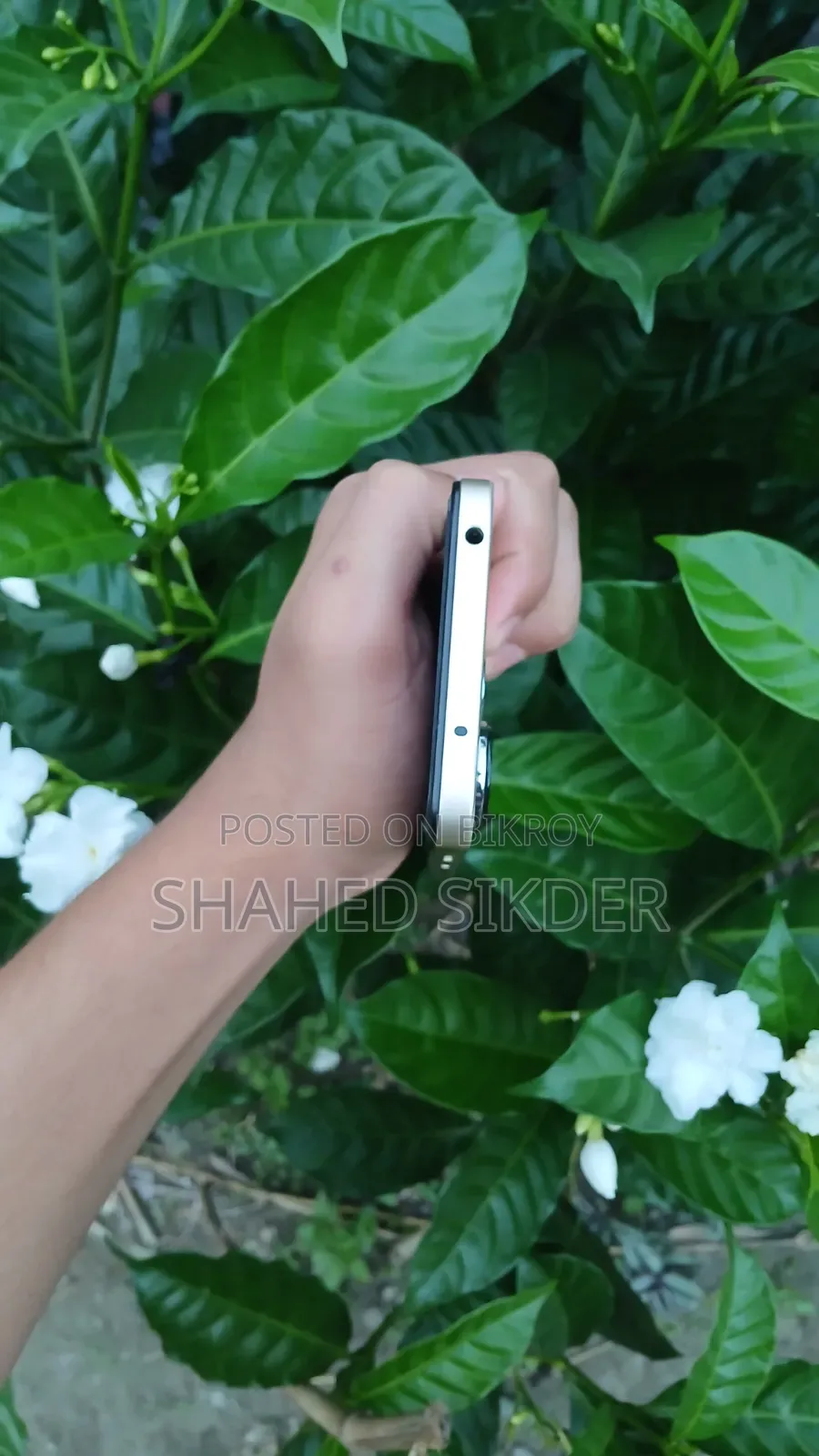 Xiaomi Redmi 13 128 GB Gold