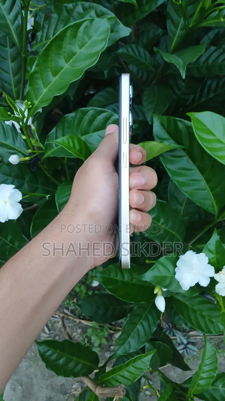 Xiaomi Redmi 13 128 GB Gold