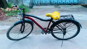 অনেক ভালো একটা সাইকেল