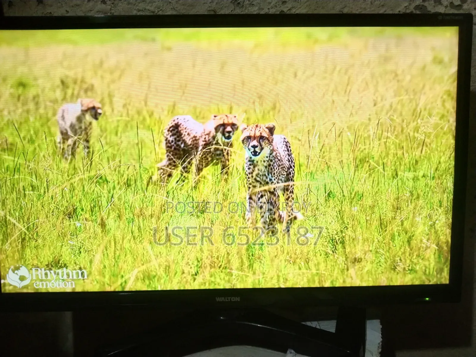 Android Smart TV