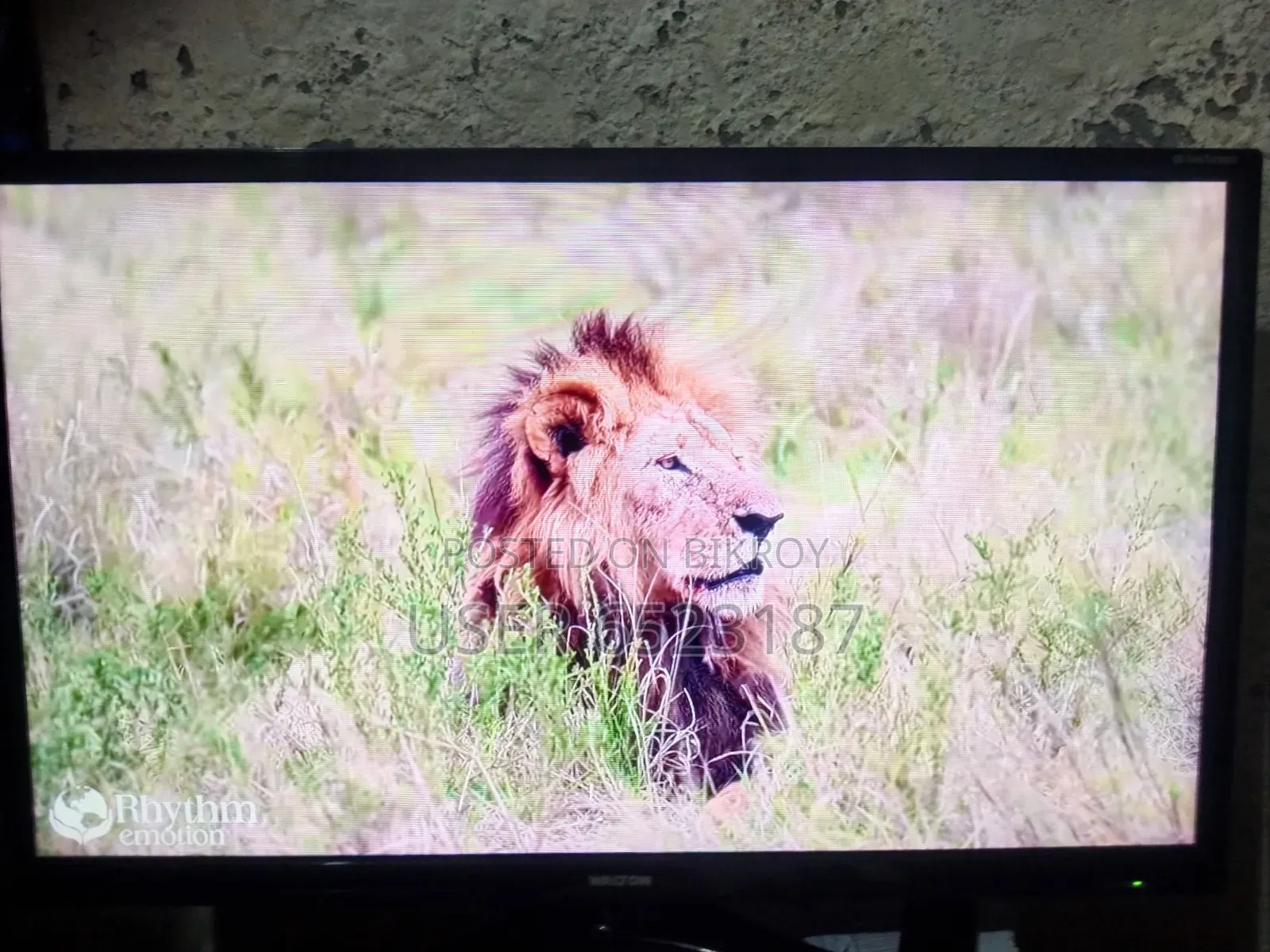 Android Smart TV