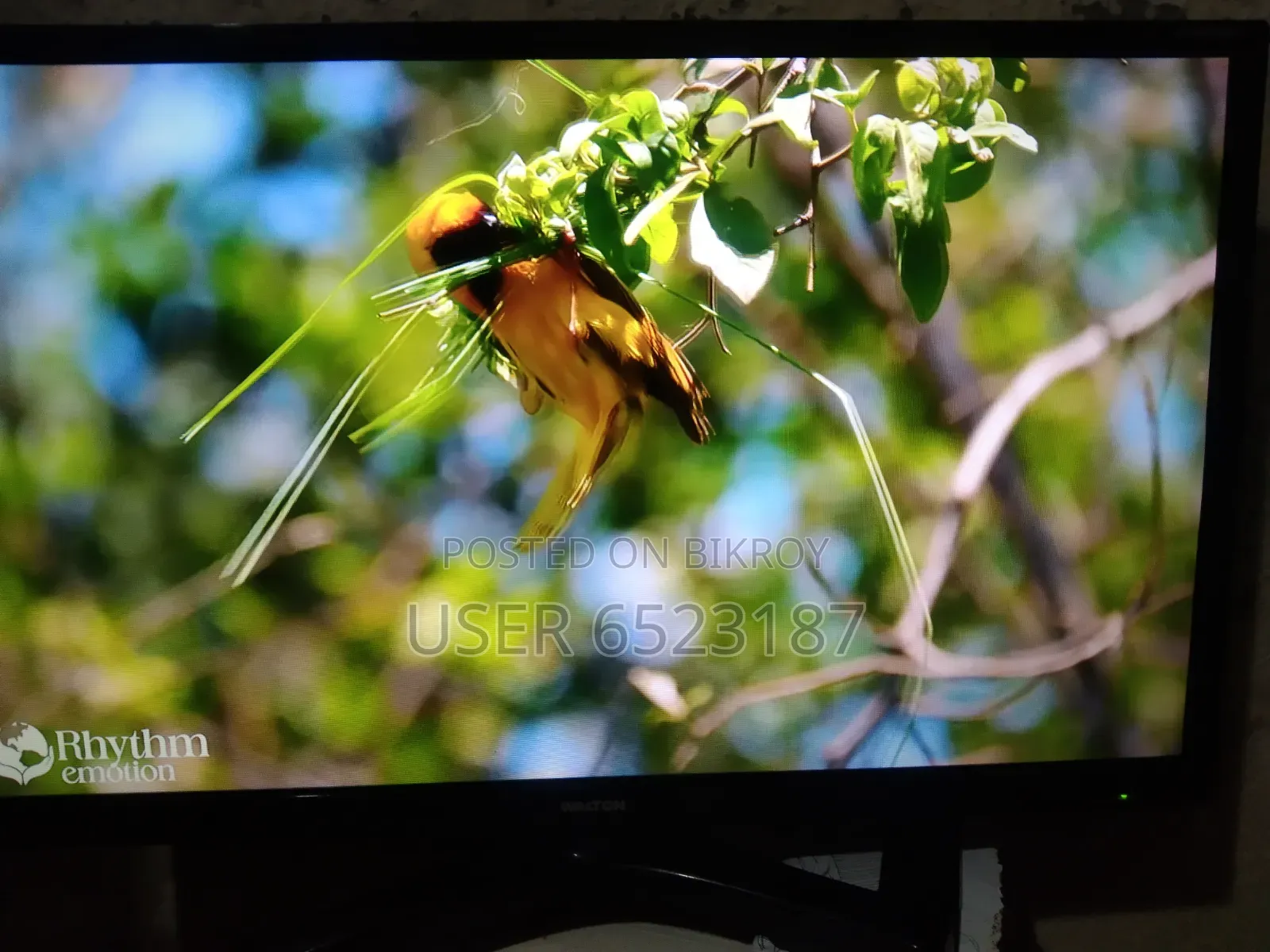 Android Smart TV