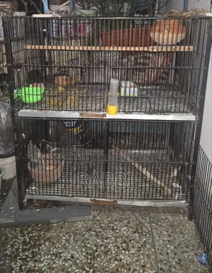 4-compartment cage for sale