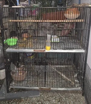 4-compartment cage for sale