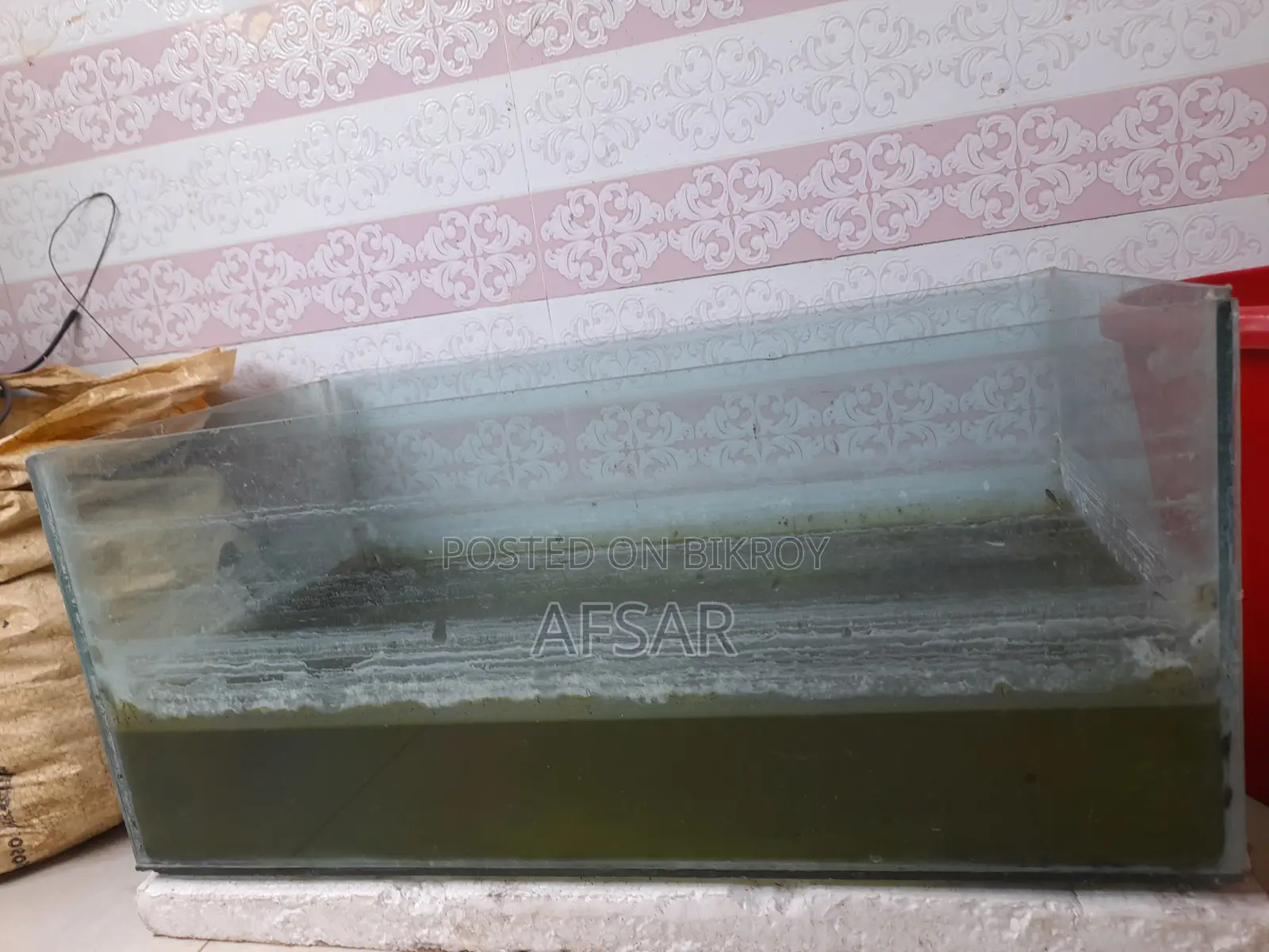 Fish Aquarium