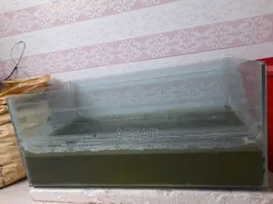 Fish Aquarium
