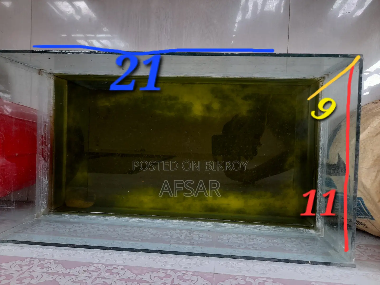 Fish Aquarium