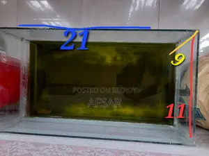 Fish Aquarium
