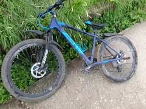 Core Nio 600-B XXL 11 Speed Blue Colour Cycle for Sale