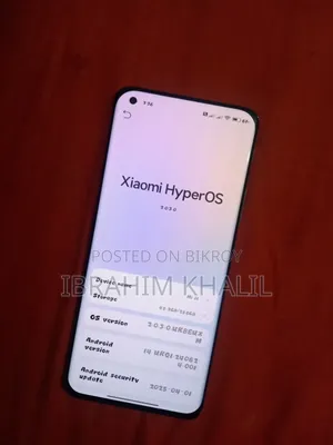 শাওমি মি ১১ ২৫৬ জিবি গ্রে
