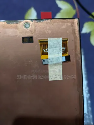 S22 Ultra Original Display
