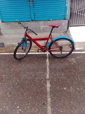 বাইসাইকেল