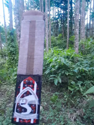 ফুললি কাস্টমাইজড ক্রিকেট ব্যাট