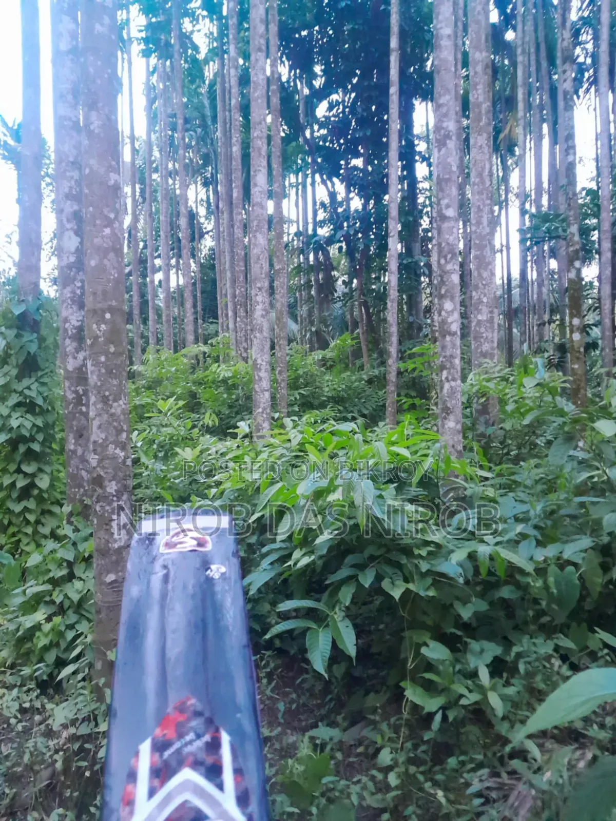 ফুললি কাস্টমাইজড ক্রিকেট ব্যাট