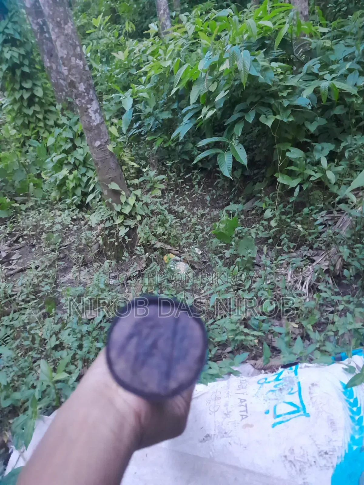 ফুললি কাস্টমাইজড ক্রিকেট ব্যাট